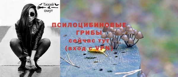 дмт Елизово