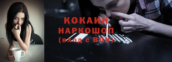 дмт Елизово