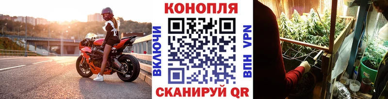 Шишки марихуана план  Купить закладки  Приморско-Ахтарск 